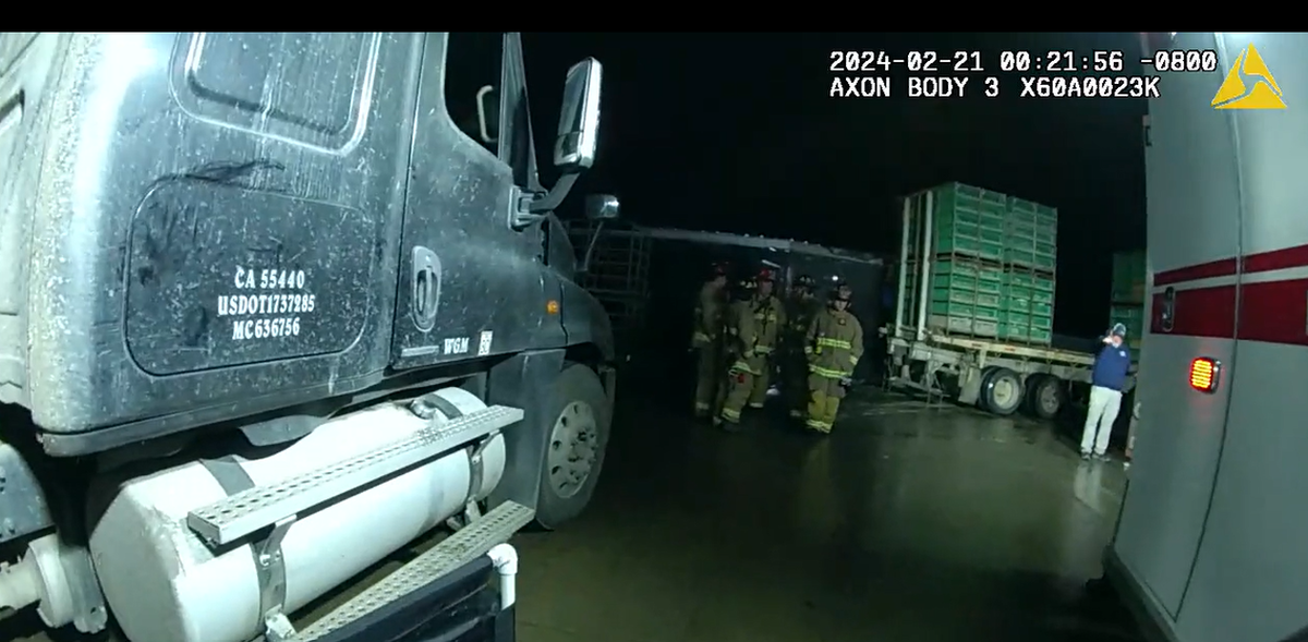 Imágenes de la cámara corporal del Departamento de Policía de Sanger de los primeros socorristas que llegaron al lugar de un accidente laboral mortal en Pitman Family Farms el 21 de febrero de 2024. El camión implicado en la muerte está registrado a nombre de la flota de transporte de aves de corral propiedad de Pitman, Western Grain &amp; Milling Inc.