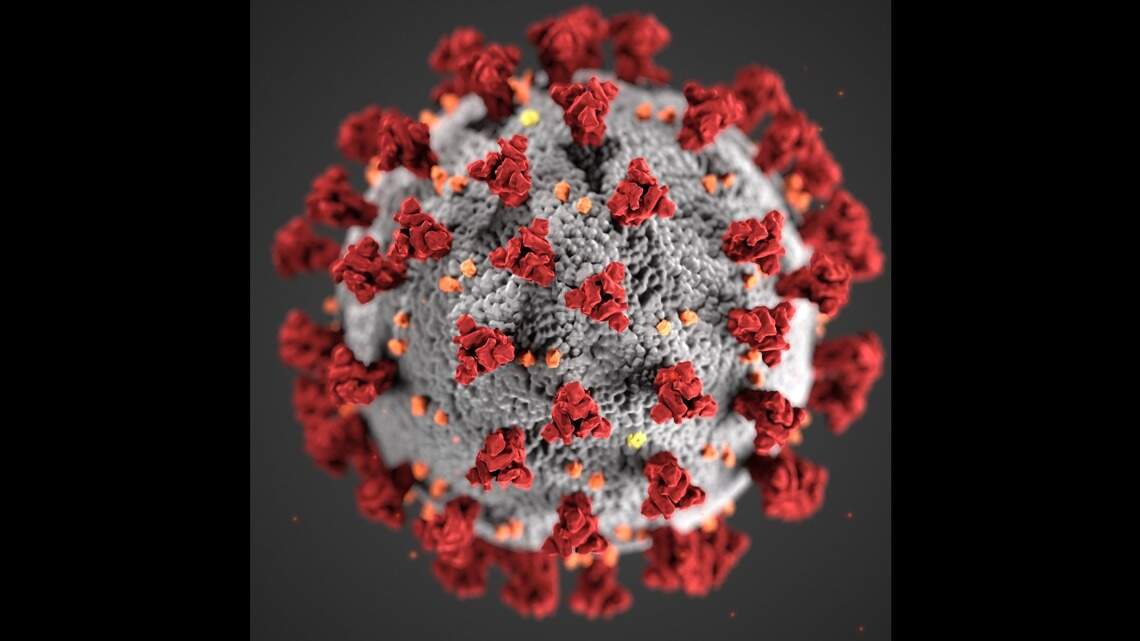 COVID fatalities surge in Fresno this week. Here’s the virus’ death toll to date