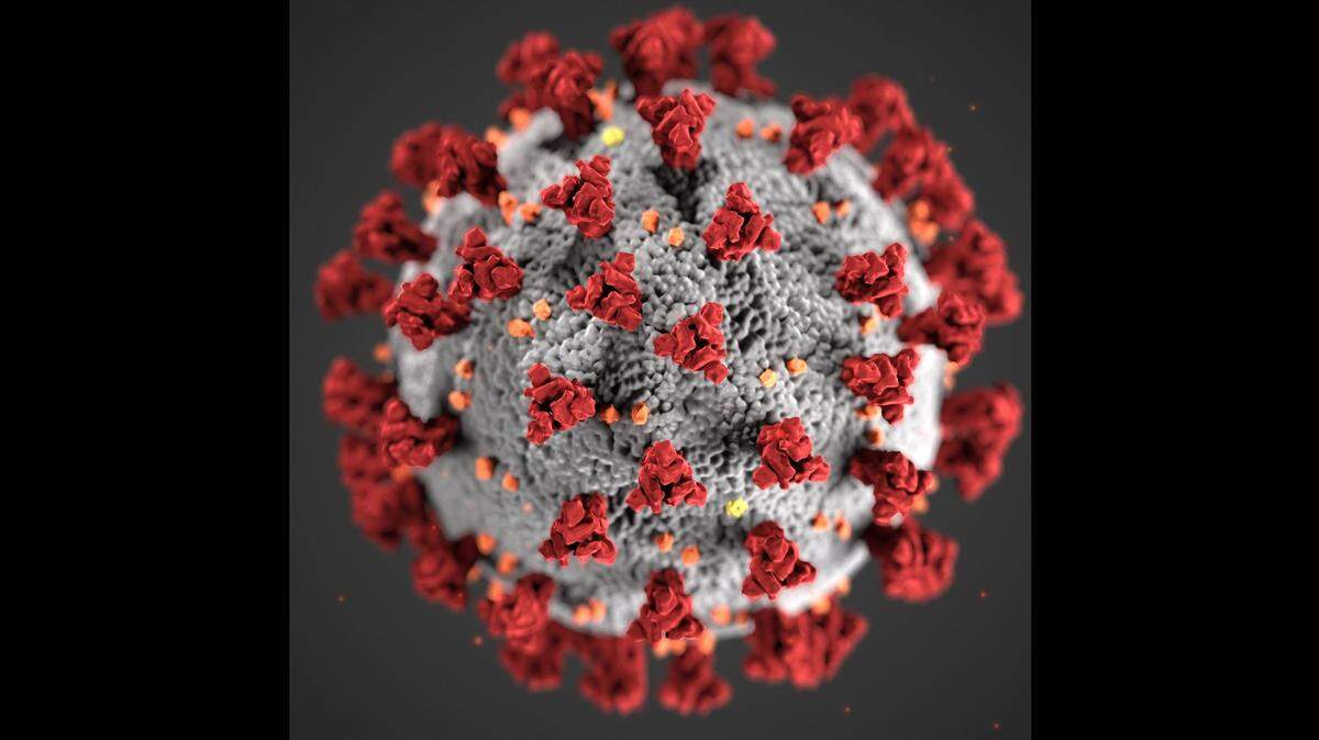 A depiction by federal health authorities of the COVID virus.