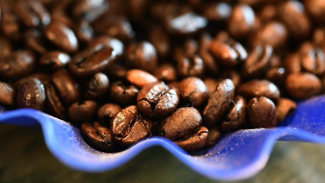 An analysis of more than 386,000 self-reported coffee drinkers — part of a U.K. biomedical database — offered no evidence that suggests the beverage causes cardiac arrhythmia, or irregular heartbeat.