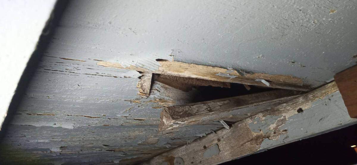 The roof of one renter’s home has leaks and is deteriorating, yet she fears reporting the issue will cost her a place to live.