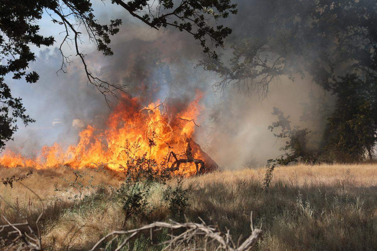 The Boone Fire has burned a total of 17,328 acres in Fresno County as of Friday, Sept. 6, 2024, according to the California Department of Forestry and Fire Protection.