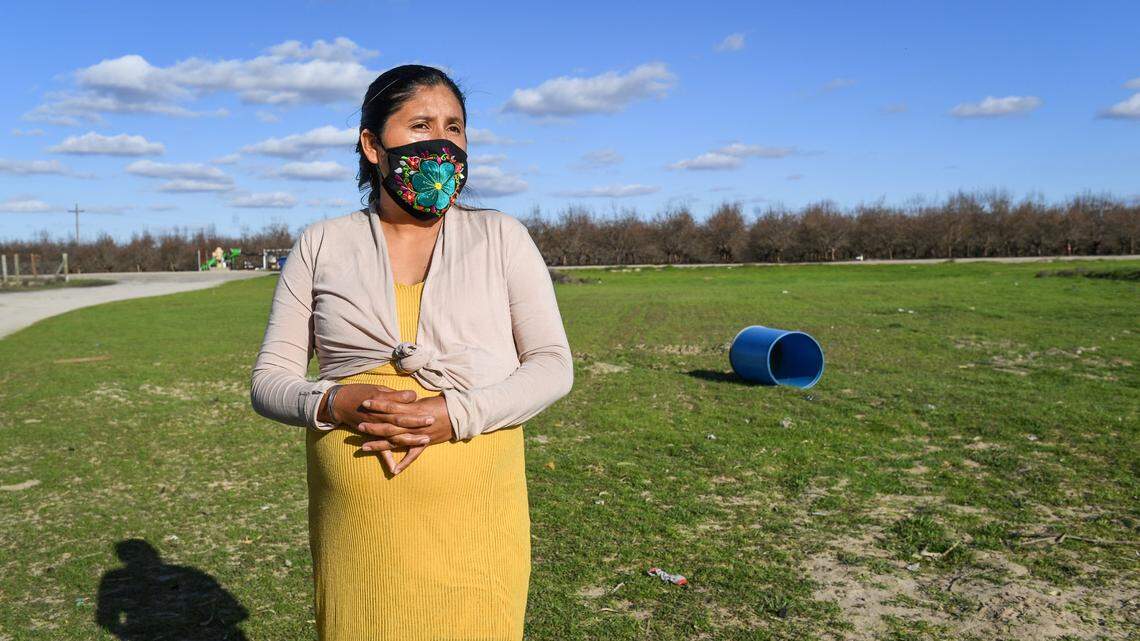 Burns in San Joaquin Valley vineyards, orchards may finally end. What delayed it?