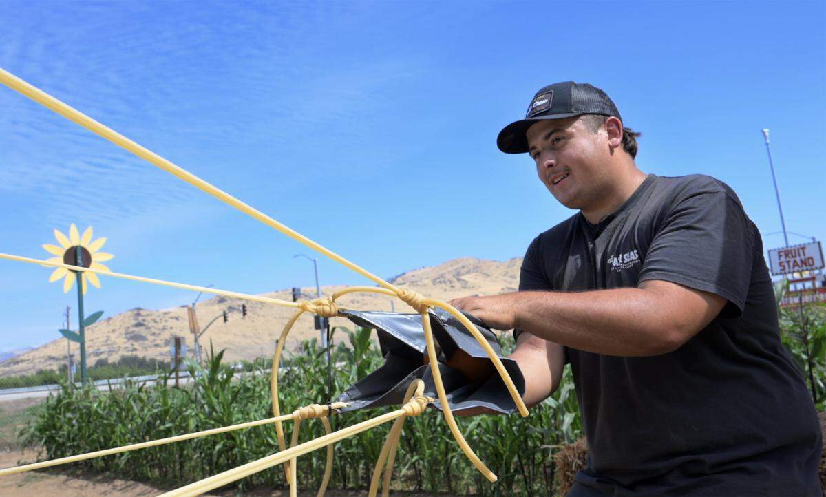 Matthew Strambi prepares to launch a pumpkin at the Sunflower Farm Stand's new pumpkin launcher feature Thursday, Oct. 2, 2025 near Sanger. Matthew said guests who can hit the target win a free pumpkin.