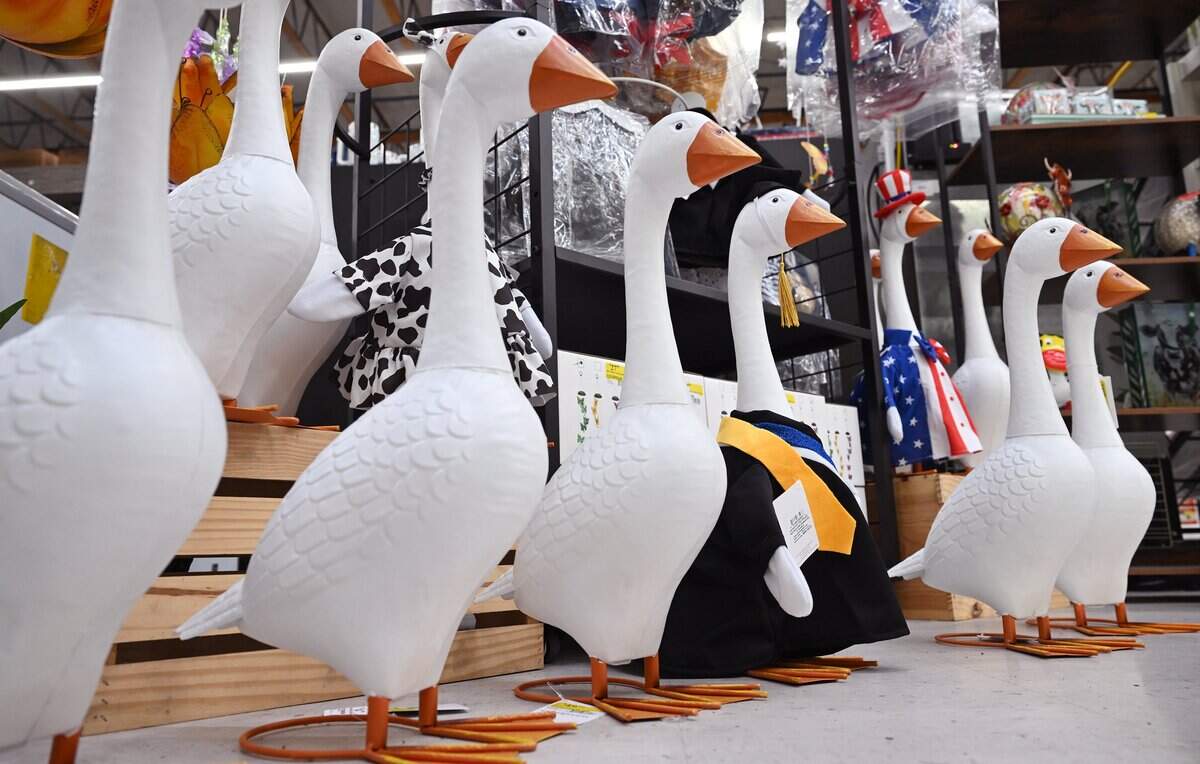 Decorative porch geese are presented for sale at Fresno Ag, photographed Thursday, May 28, 2026 in Fresno. Fresno Ag will be celebrating its 150 years in business.