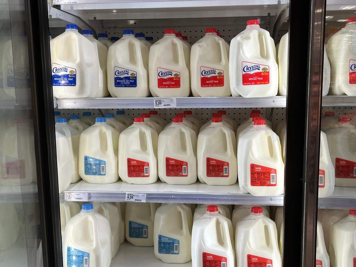 Gallons of whole milk rare for sale at Target in Fresno on Monday, Aug. 19, 2024