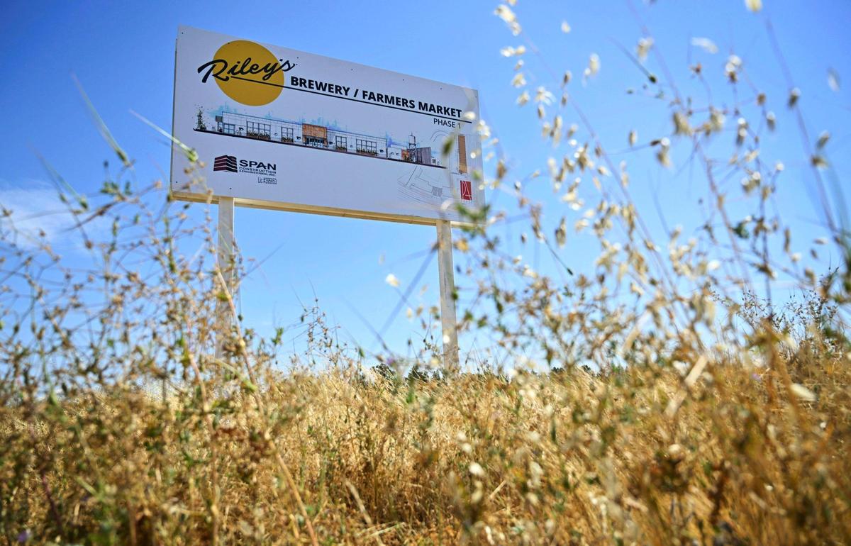 Riley’s Brewery is coming to the Riverwalk retail area at Riverstone, which will also include a farmers market at Riverwalk Blvd and Root Creek Pkwy. Riverwalk is just a small part of the large Riverstone community under development at Highway 41 and Avenue 12 near Madera Ranchos. Photographed Wednesday, June 14, 2023.