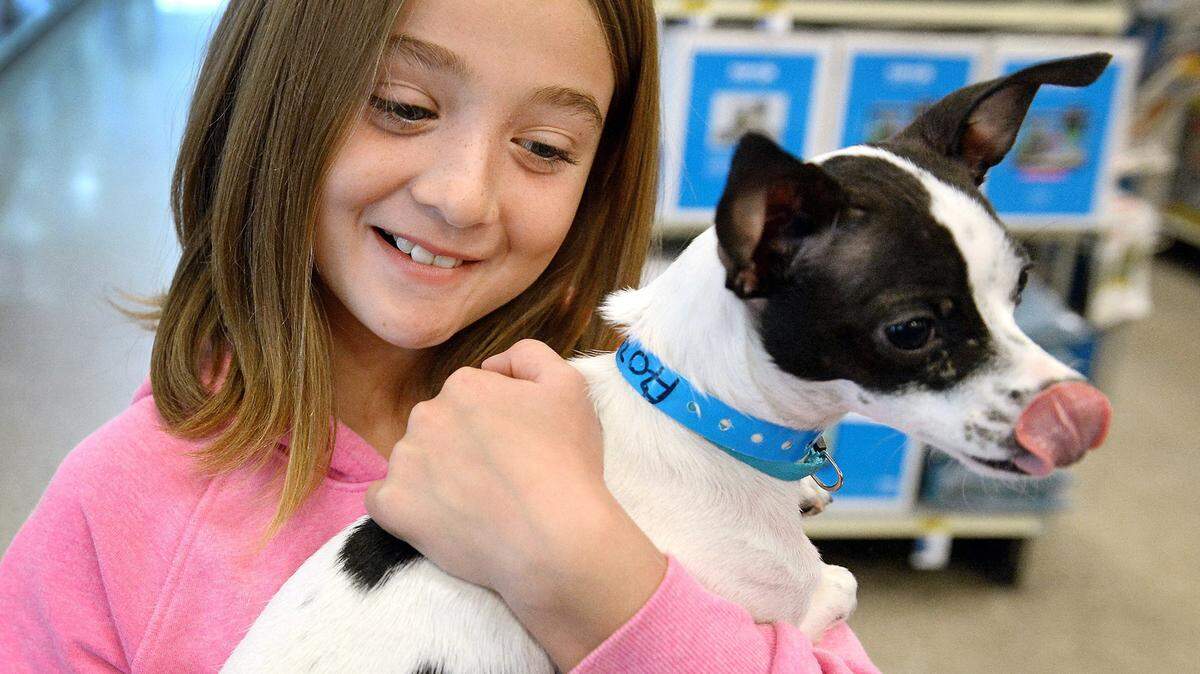 Emily Beer of Kingsburg holds Tip, a chihuahua blend rescue dog, while considering on a family dog for her to have for her 10th birthday.