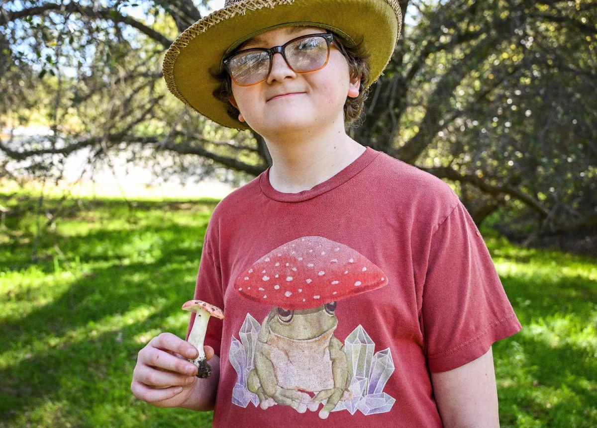 Nico De Napoli, 13 of Coarsegold holds up a mushroom he found that remarkably matches his shirt (minus the toad) while hunting for mushrooms on a Sierra Foothill Conservancy mycology hike on the McKenzie Preserve in the foothills near Millerton lake on Saturday, March 1, 2025.