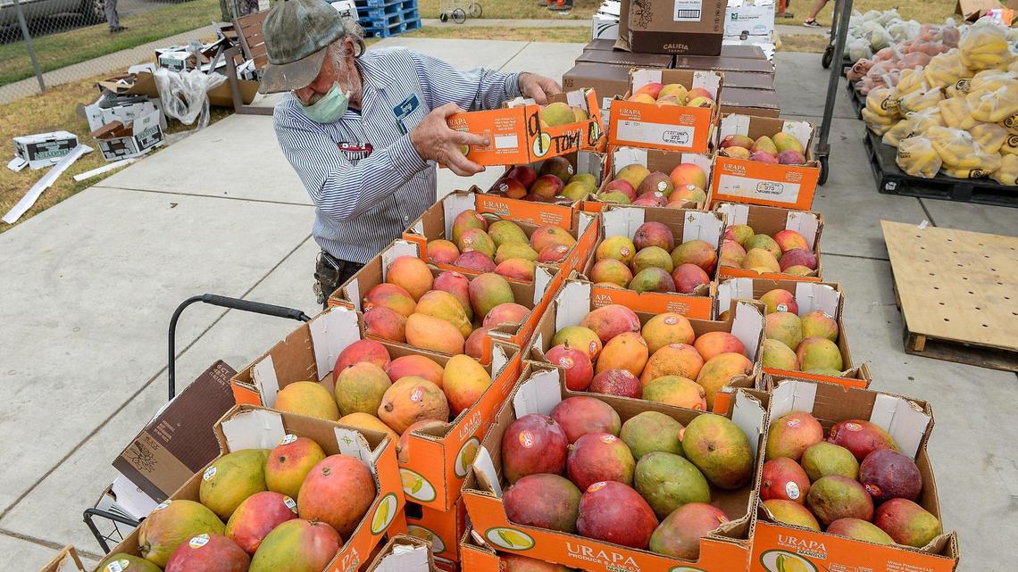 Tony Pilotti of Fresno picks up a box of mangos from a food distribution at Feed My Sheep Ministries in west Fresno on Friday, June 5, 2020. Coronavirus protocols kept groups and individuals separated and using masks to reduce the chances of contracting the disease.