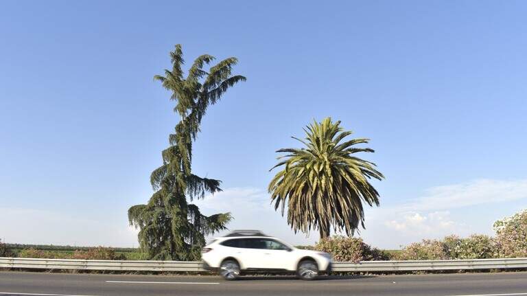 Highway 99’s Palm and Pine markers to be moved for CA project. What’s the plan?