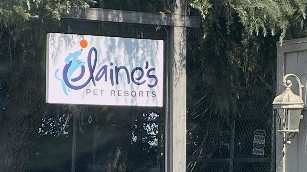 Elaine’s Pet Resorts on Hayston Avenue in Fresno on Monday, Oct. 2, 2023.
