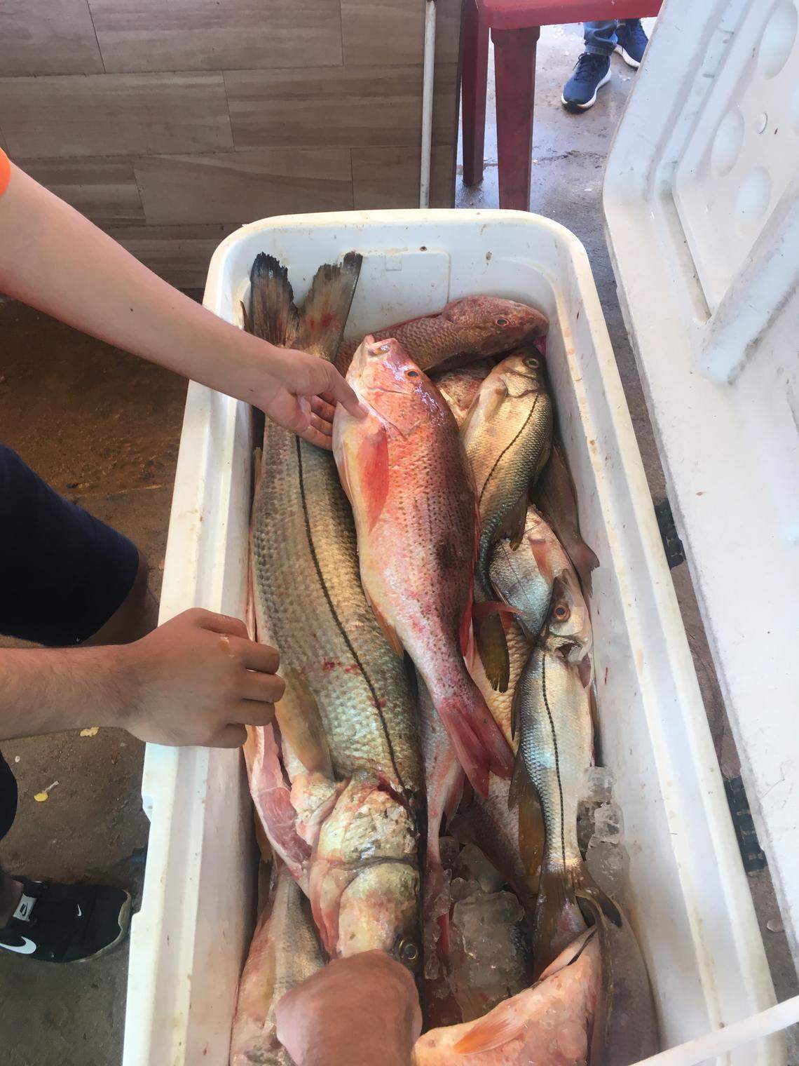 Beachfront Mexican restaurants in Chacala, Nayarit prepare pescado zarandeado with freshly caught fish on Aug. 30, 2019.