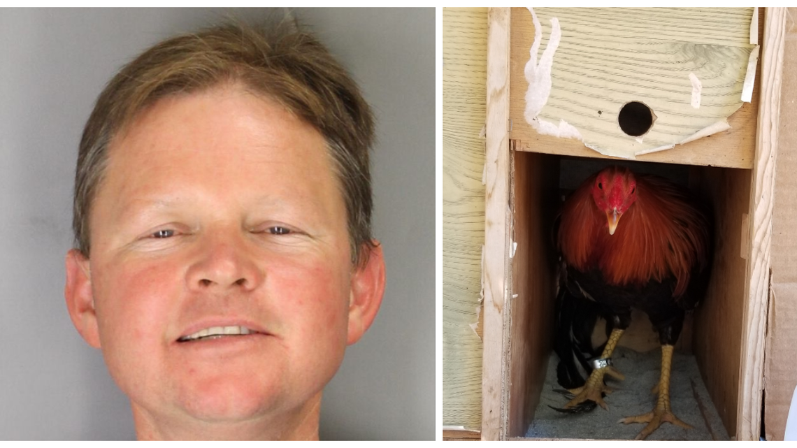 Travis Risner, of Murietta, California, was sentenced in Tulare County Superior Court for his part in a cockfighting ring that was found in Pixley.