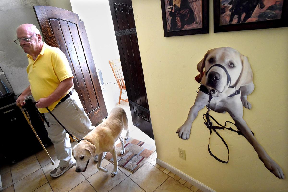 Edward Crane’s love for his assistance dog Alepo is seen everywhere in his Clovis home, in the photos of him, some large and poster-sized.