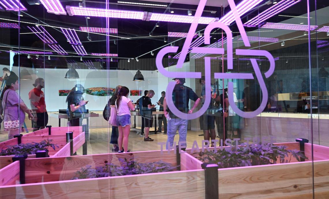 New employees gather for an orientation at The Artist Tree, a new cannabis dispensary opening next Monday, located at Palm and Nees Avenues. Artist Tree will double as an art gallery once opened. Photographed Wednesday, July 6, 2022 in Fresno.