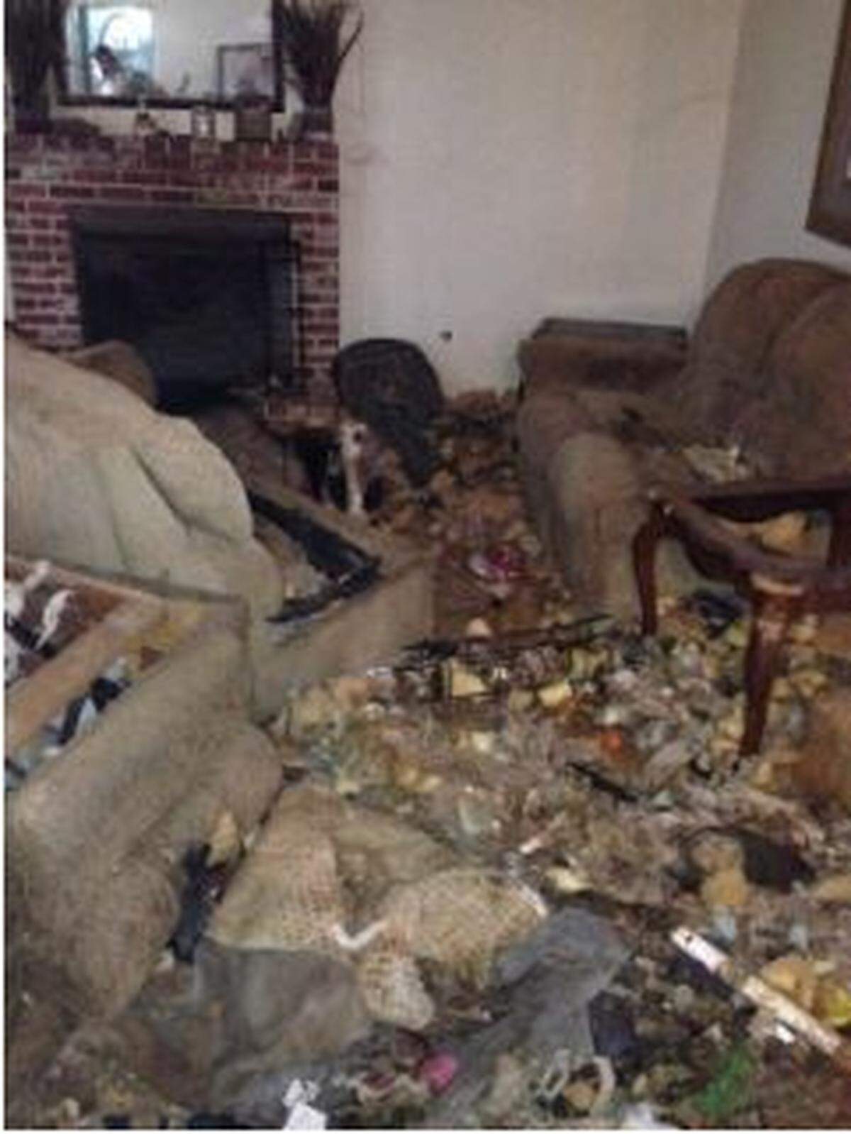 After neighbors complained, Kingsburg police showed up to a house Sunday where they found dead and abandoned animals. The home was covered in animal feces, trash, and a dead cat was found in a bedroom. The home has been quarantined, and the city is moving to condemn the property. One woman was arrested for animal cruelty.
