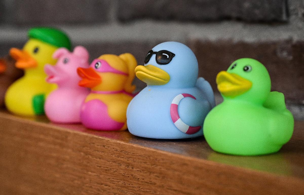 Well-wishers have been dropping off rubber duckies at Mad Duck’s newest location at Copper and Maple in north Fresno, where workers have been lining up the ducks on shelves before the restaurant and brewery’s anticipated opening.