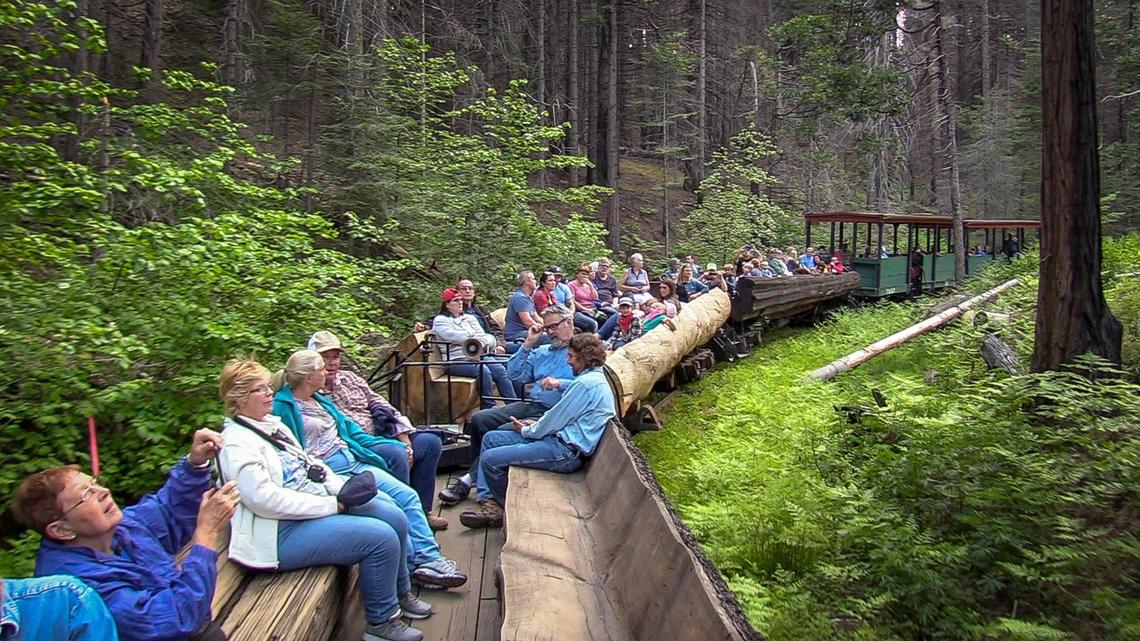Passengers sit in the open log-bench cars during a Yosemite Mountain Sugar Pine Railroad “moonlight special” excursion through the Sierra National Forest on Wednesday, June 6, 2019.