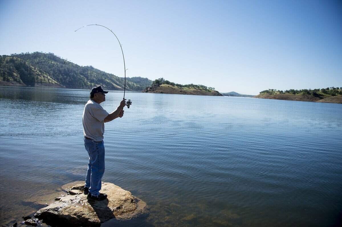MID owns and operates Lake McClure on the Merced River, and delivers water to about 2,200 growers farming on approximately 132,000 acres in eastern Merced County.