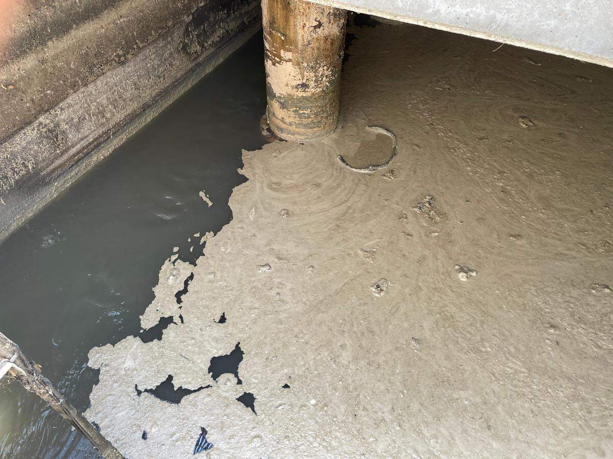 Sanger Plant Manager Silvestre Perez alerted Pitman Farms that feathers “continue to arrive in the domestic influent line” in an August 11, 2023 email. Cross contamination between the domestic and industrial sewage lines was later identified as a problem.