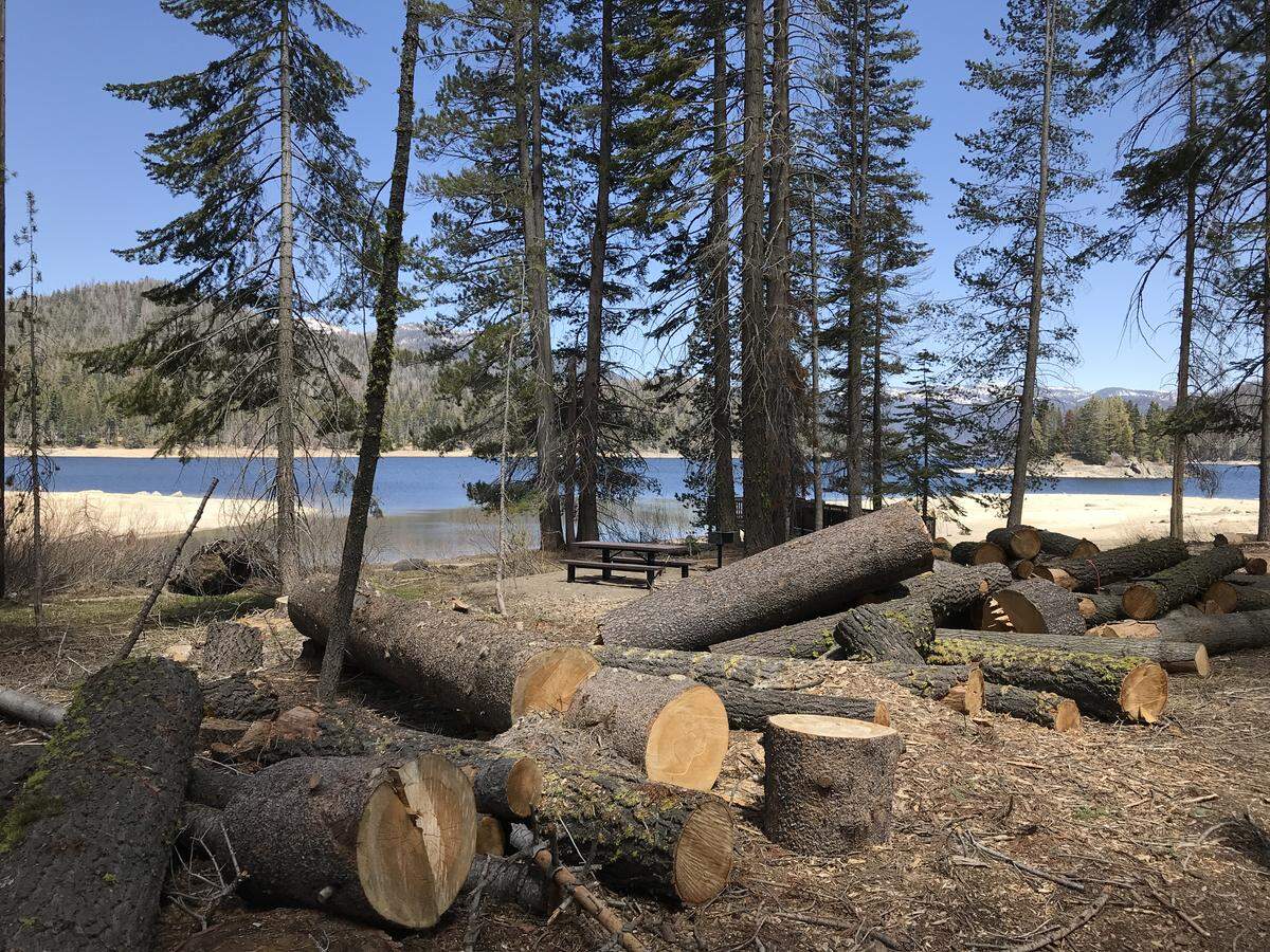 The Dowville Picnic Area at Huntington Lake epitomizes the devastation caused by tree mortality. What used to be a stately grove of mixed pine and fir trees has been reduced to piles of logs, stumps and sawdust in this May 2018 photo. The scene is similar at several nearby campgrounds.