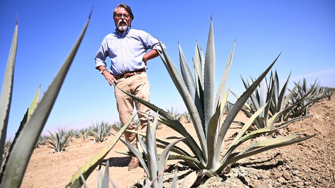 Studies look at ‘less bad’ options for farmers facing groundwater cutbacks