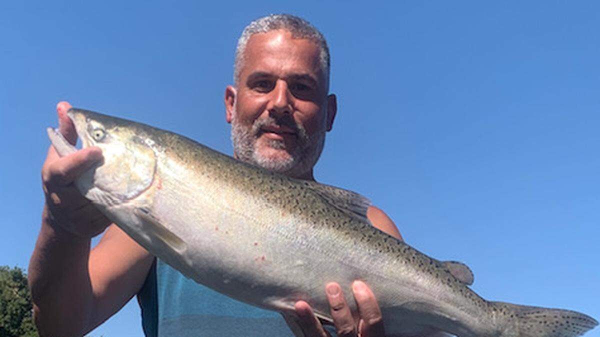 Gilbert Mendez shows a salmon caught trolling Silvertrons on the Sacramento River by Walnut Grove on a Sept. 20-21 trip.