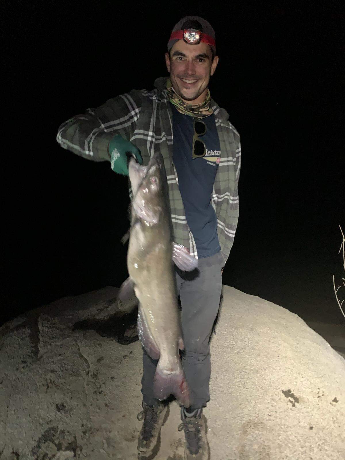 Dan Stockton shows off his catch made Sept. 20 at the Chowchilla Recreation Area at Eastman Lake, an 11.6-pound catfish taken on a dead shad head. “It was a 10-minute fight on 12-pound test and the second the circle hook caught its mouth, the fish peeled about 100 yards of line,” Stockton writes. “The catfish were active and cruising 30-50 yards offshore in 10-15 feet of water between 7 p.m. and 10 p.m. We caught another 4-pound catfish five minutes after this one and three bass on live, jumbo-sized minnows using a Carolina rig. The bass were caught 10-15 yards from shore.” Stockton says he has been a fisherman for life, fishing the Central Valley consistently (three to six times a week) for the past six months. He was with his fiancee Alexi Cruz on this outing.