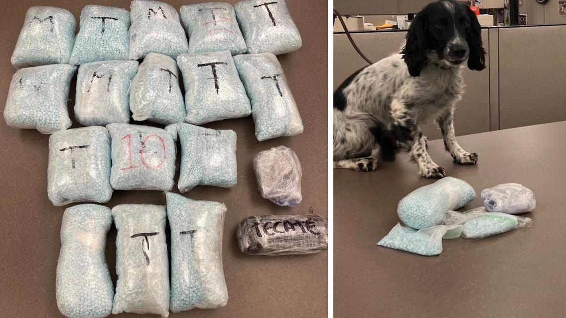 Fentanyl pills and heroin were recovered by Clovis Police after a spokesman said they were detected by a police dog name Bodie during an operation in Selma. A 35-year-old man was booked into Fresno County Jail.