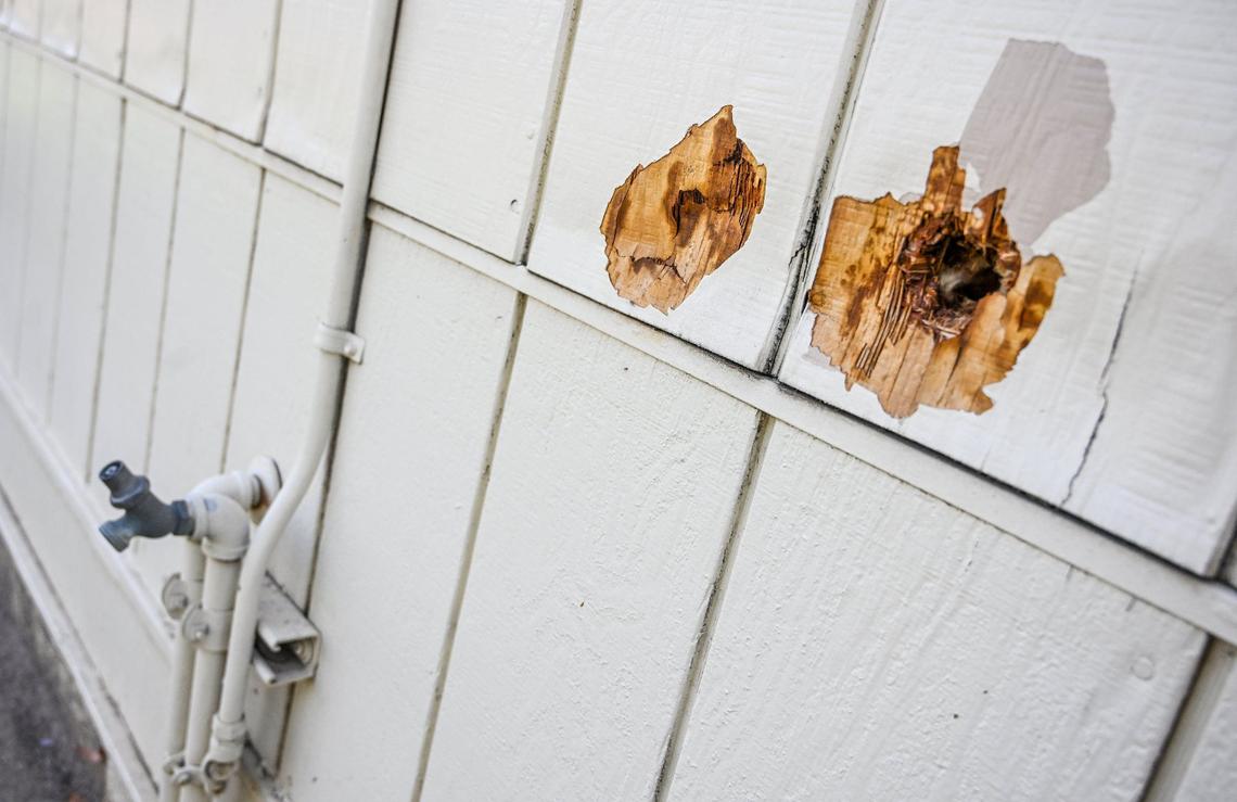 Holes and other damage are evident on the aging portable classrooms at Norseman Elementary School in the Fresno Unified School District on Friday, Oct. 4, 2024. Aging portables and a modern library are among the needs at the school that is more than 60 years old. The district is pushing for the passage of Measure H to meet those needs.