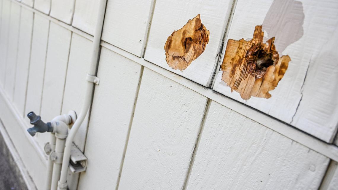 Holes and other damage are evident on the aging portable classrooms at Norseman Elementary School in the Fresno Unified School District on Friday, Oct. 4, 2024. Aging portables and a modern library are among the needs at the school that is more than 60 years old. The district is pushing for the passage of Measure H to meet those needs.