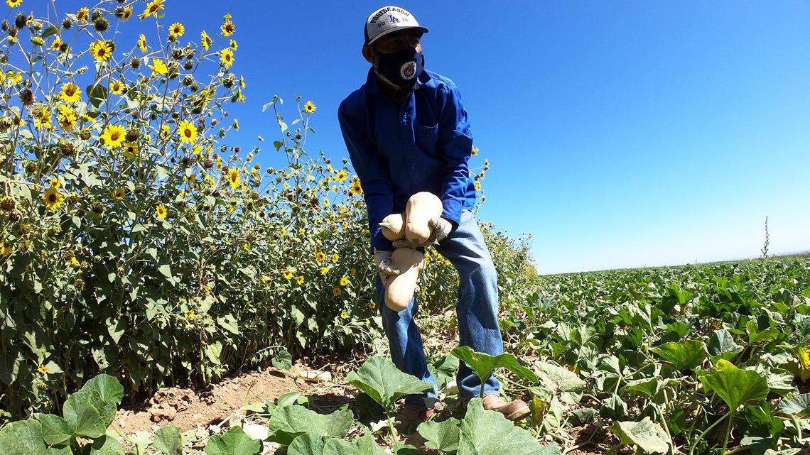 UC Merced gets $1 million gift to create institute dedicated to climate research