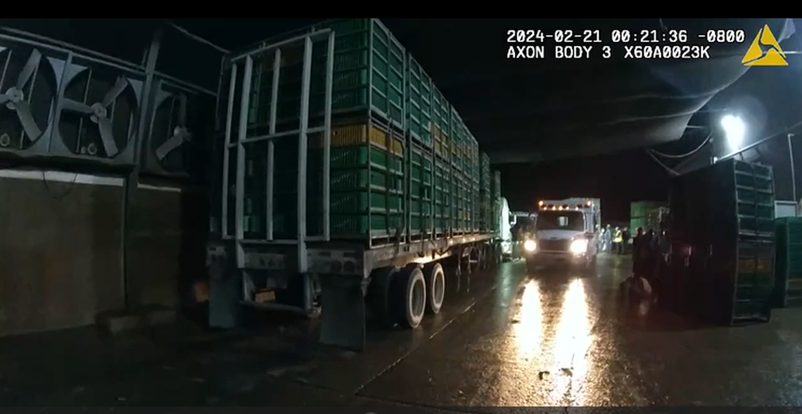 Sanger Police Department body camera footage shows an ambulance next to a trailer-truck at Pitman Family Farms, where an employee died on Feb. 21, 2024 in a workplace fatality. The “poorly lit” area required external lighting from emergency vehicles to properly assess the scene, police said.