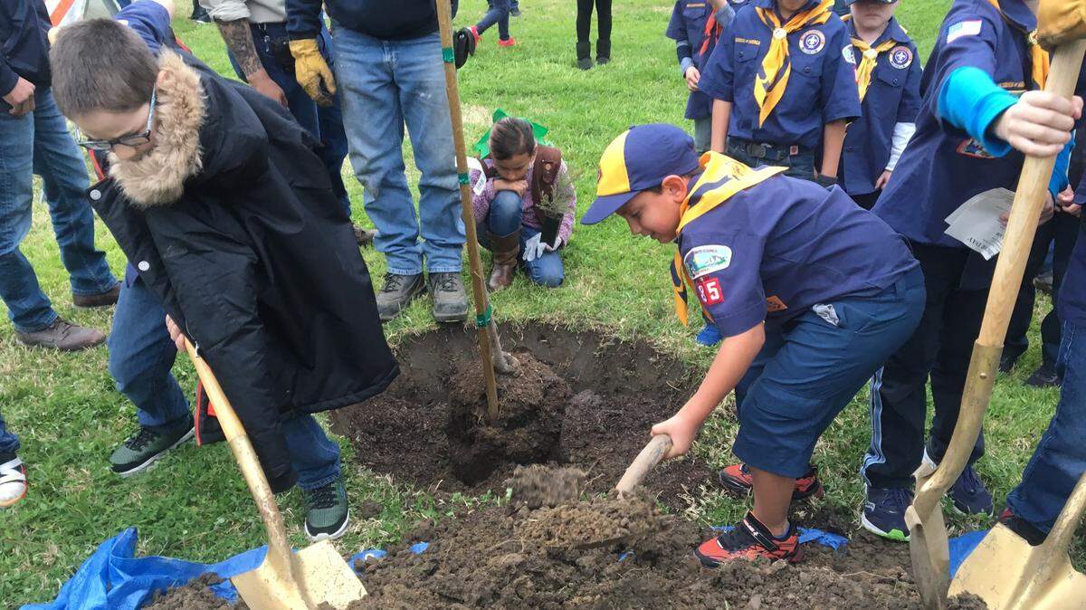 Local boy scouts are shown planting trees on Arbor Day in Los Banos.