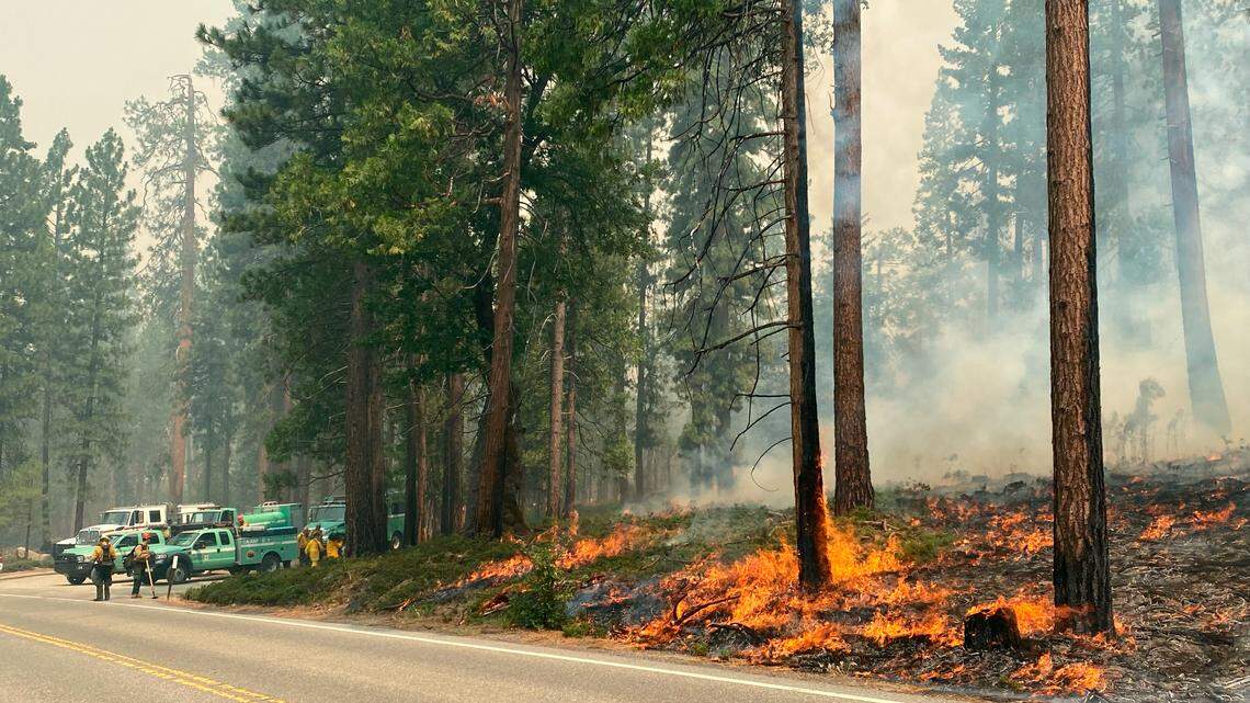 Yosemite wildfire update: Firefighters lose some containment as Washburn Fire grows