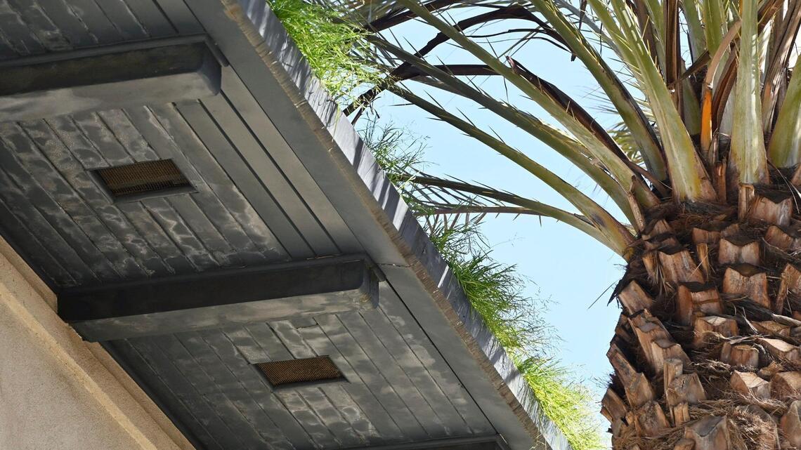 Grass is growing from the gutters of Fresno’s historic train station. That’s not ideal | Opinion