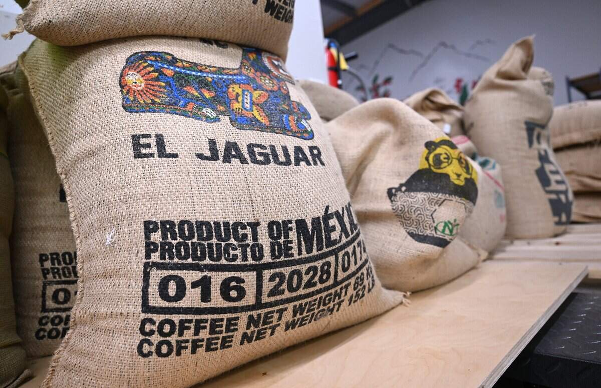 Bags of green coffee beans ready for roasting are seen at Vatche Moukhtarian's coffee bean roasting facility during a tour Tuesday, June 23, 2026 in Clovis. Fresno City Hall's cafeteria has been a vending machine facility since the pandemic but Moukhtarian hopes to open a full cafeteria plus coffee drinks later this year.