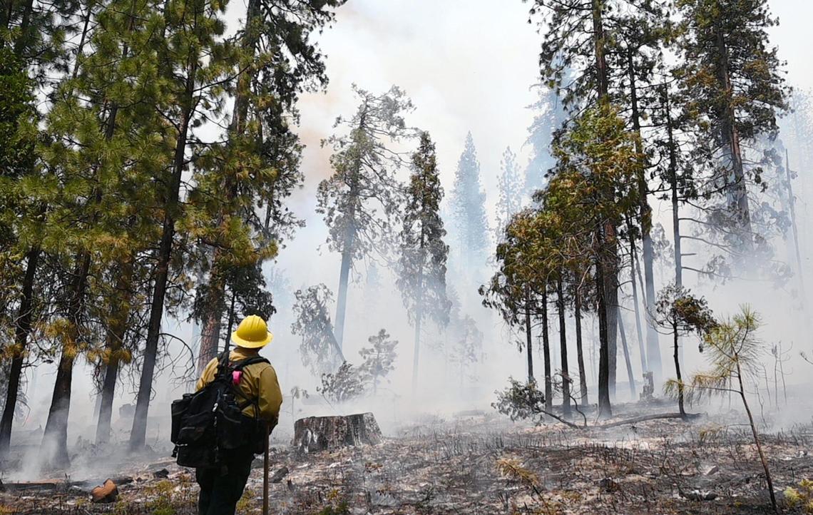 A firefighter stands keeping an eye on a burned area along Wawona Road as the Washburn Fire burns near the south entrance of Yosemite National Park Monday.