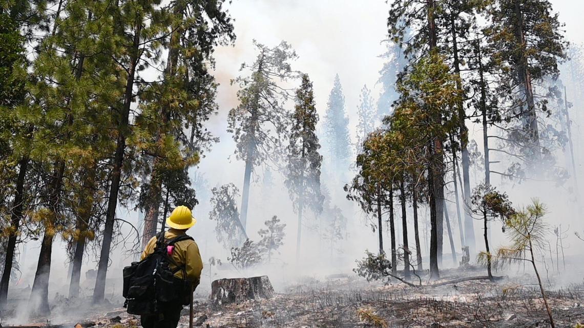 A firefighter stands watch over a burned and smoldering area along Wawona Road as the Washburn Fire burns near the south entrance of Yosemite National Park on Monday.