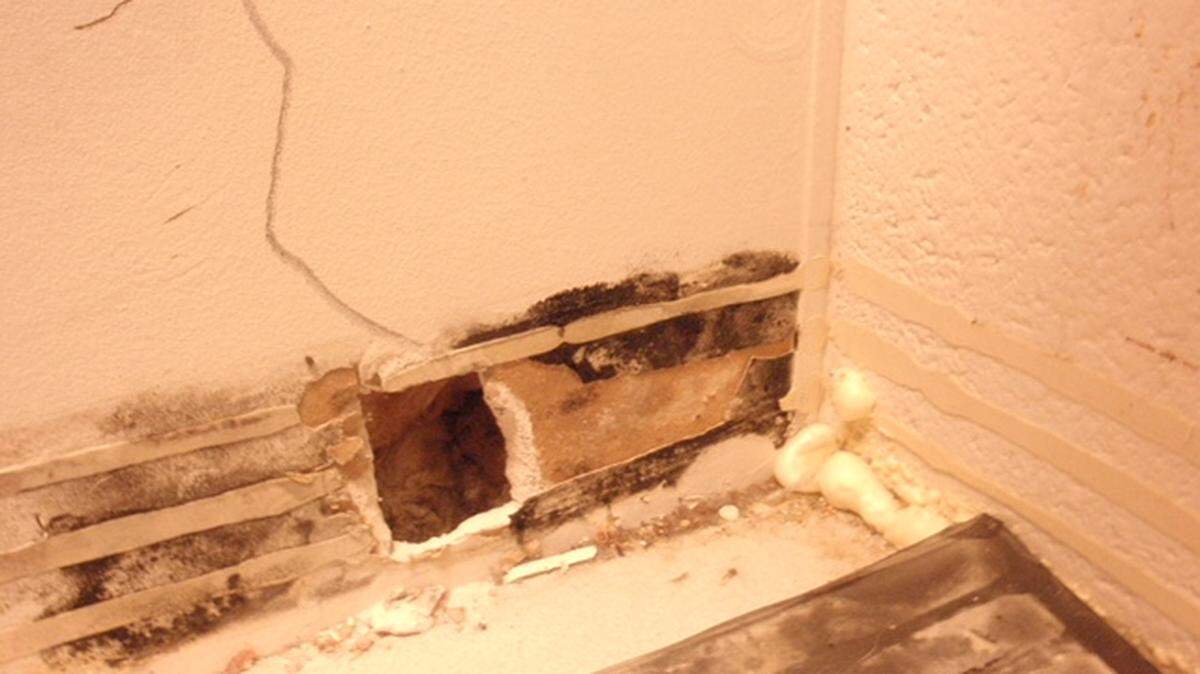 Mold is visible in this photo taken at the federal prison in Mendota, California.