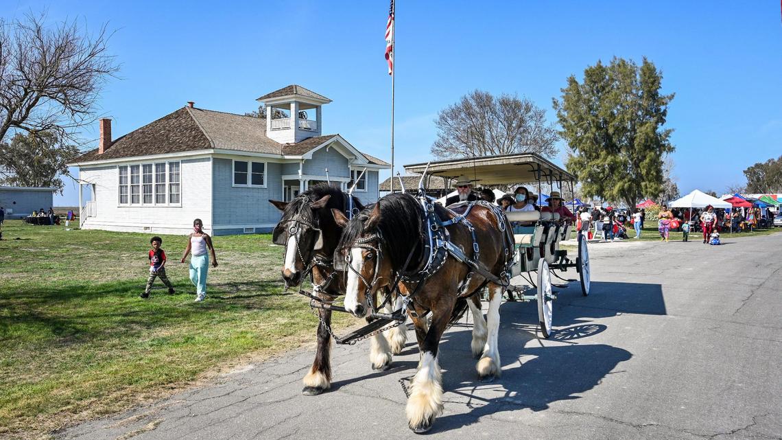 Clydesdale horses pull a carriage outside the schoolhouse building while giving rides during the 46th Annual Black History Festival at Colonel Allensworth State Historic Park in southwest Tulare County on Saturday, Feb. 12, 2022.