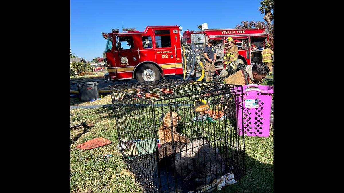 A woman and 13 pets were spared from a fire thanks to Visalia Fire Department, firefighters said Tuesday, Sept. 12, 2023.