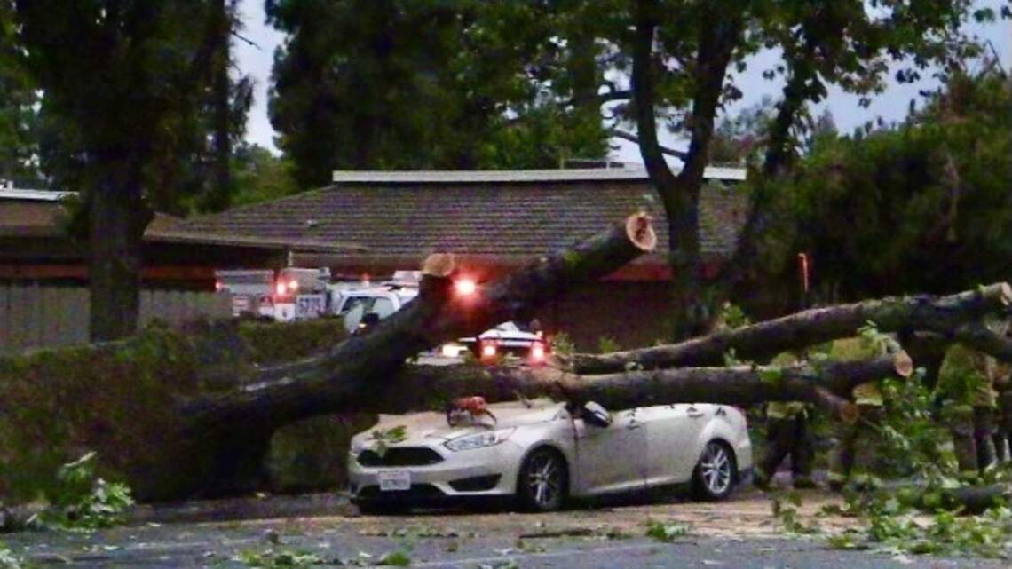 Strong winds cause large tree to fall and destroy vehicle in north Fresno
