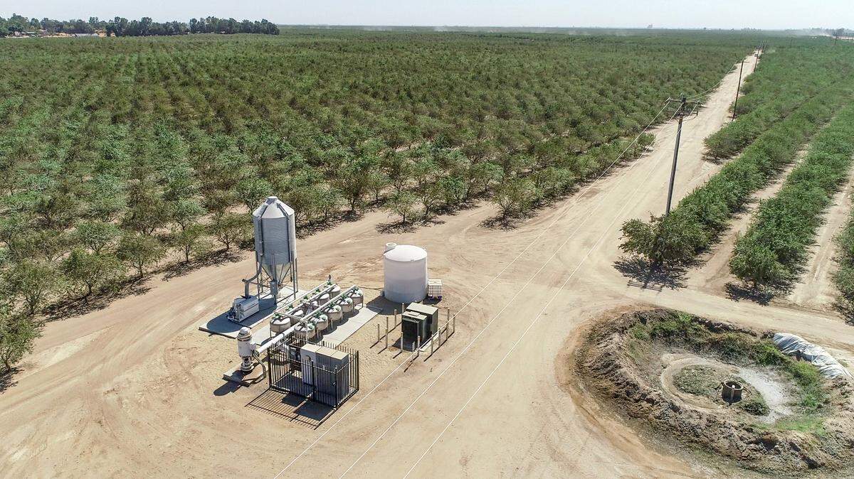 A huge well pumps water for thousands of trees planted at the height of the drought in Madera County. Residents are outraged that the farming operation has been allowed to continue lowering the water table in an area already plagued with water issues and land subsidence.