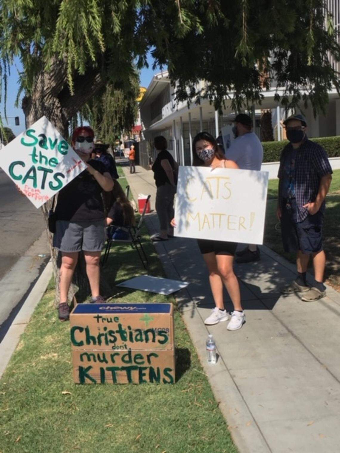 People protesting outside Fellowship Missionary Baptist Church in Fresno after Kandice Tapfer shared photos of two dead cats she said she found on the church property Aug. 8, 2020. The dead cats were found about a month after she took a photo of a cat in a pest control cage outside the church.