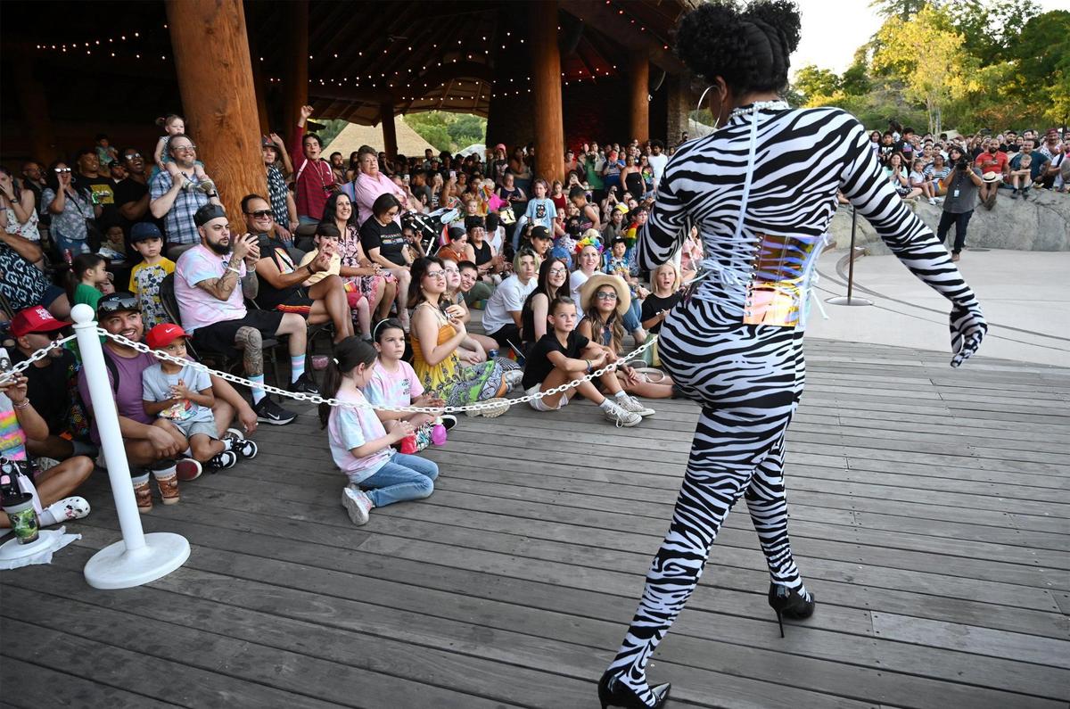 Drag queen Camila P Davis, right, struts past families at the Fresno Chaffee Zoo’s special Family Pride event held Friday, June 24, 2022 in Fresno.
