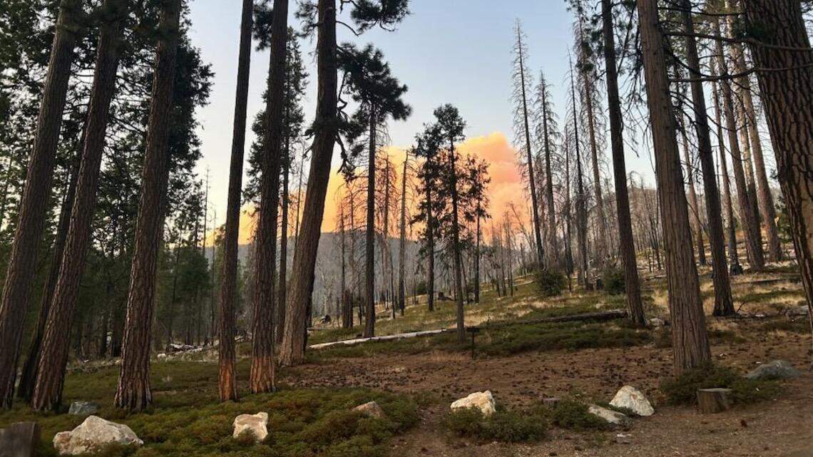 Wildfire continues to burn in Yosemite. Are park officials downplaying its size?