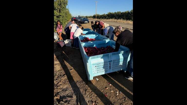 Reedley farmer loses legal battle with produce company, says he’s done with farming