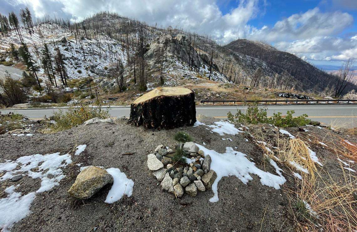 A light dusting of snow sits off Highway 168 near Shaver Lake, California, on Wednesday, Nov. 2, 2022, following the season’s first storm.